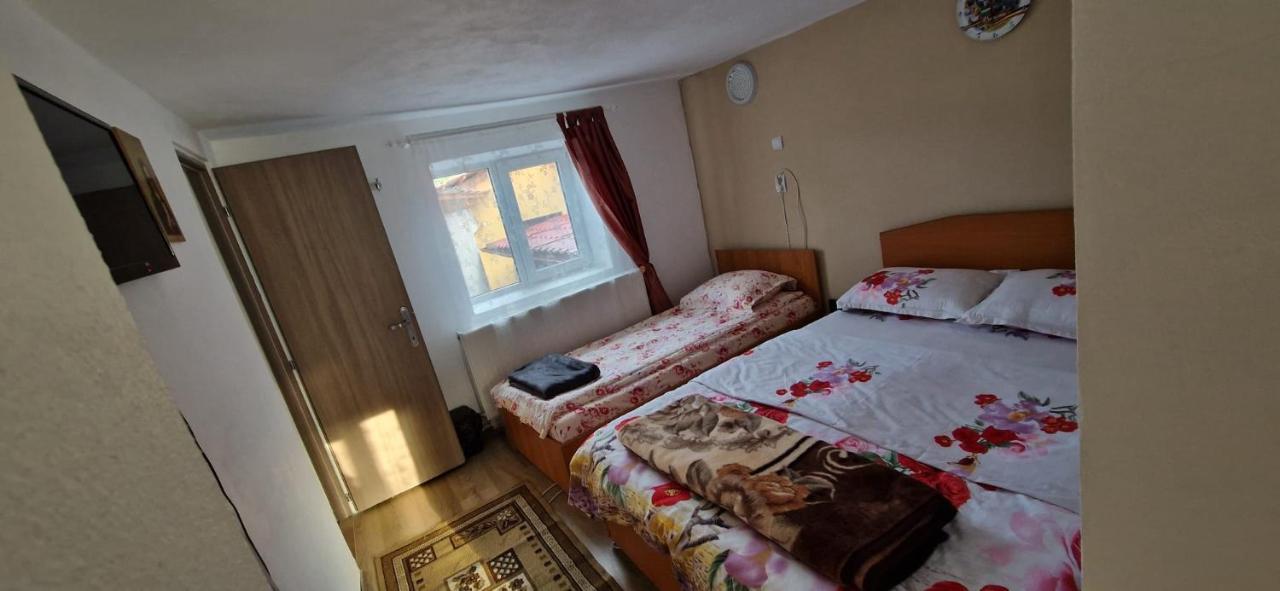 Pensiunea Casa Andreea Новач-Стрэйни Экстерьер фото